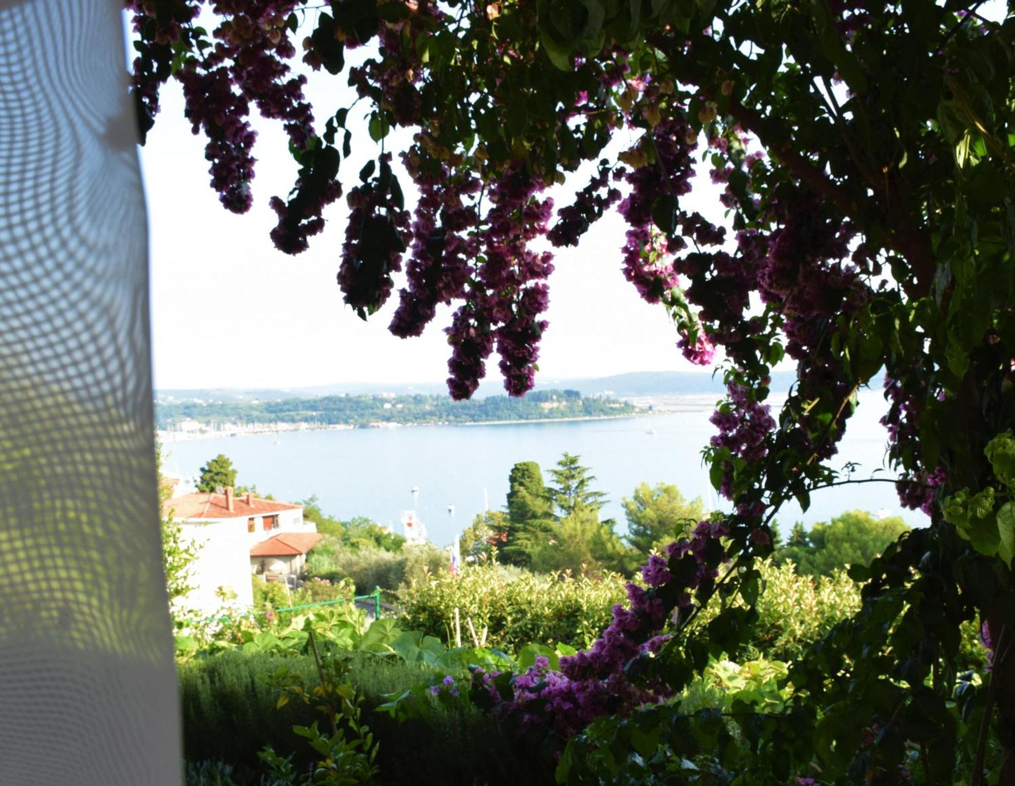 Apartments Fink Portorož Exteriör bild