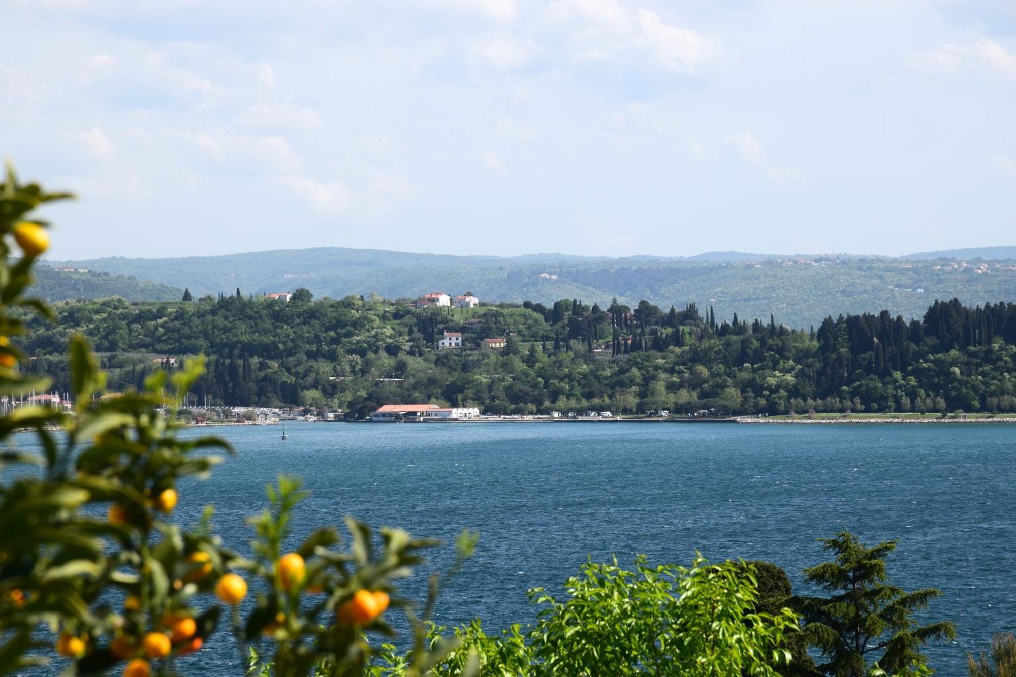 Apartments Fink Portorož Exteriör bild
